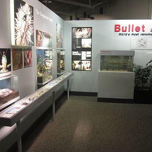 Aug. 2012-Insect Lifestyles section (3)