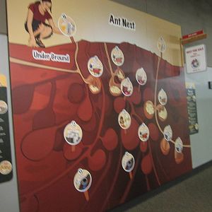 Aug. 2012-Ant Nest sign