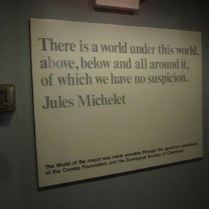 Aug. 2012-World of the Insect exit sign