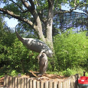 Aug. 2012-Manatee Springs