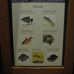 Aug. 2012-Freshwater Fish sign