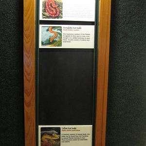 Aug. 2012-Palmetto Scrub exhibit signs