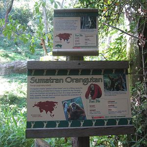 Aug. 2012-Gibbon + Orangutan signs