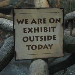 Aug. 2012-White-handed Gibbon sign