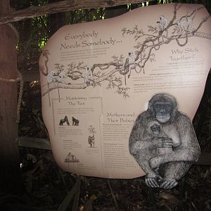 Aug. 2012-Jungle Trails sign