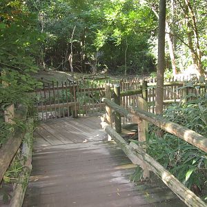 Aug. 2012-Saddle-billed Stork/Pink-backed Pelican exhibit viewing
