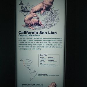Aug. 2012-Sea Lion sign