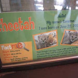 Aug. 2012-New Savanna sign