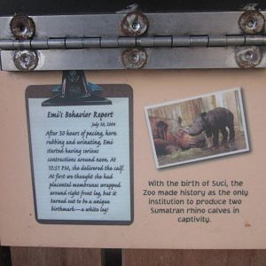 Aug. 2012-Sign on the importance of Suci's birth