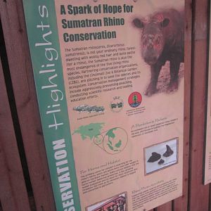 Aug. 2012-Sumatran Rhinoceros sign