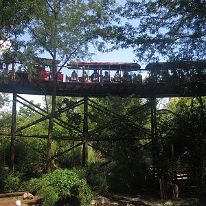 Aug. 2012-Train over Flamingo Cove