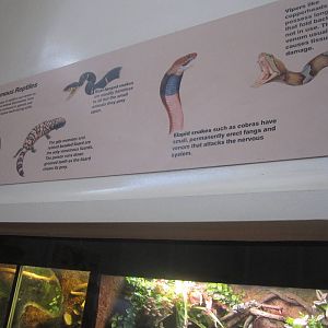 Aug. 2012-Reptile House sign