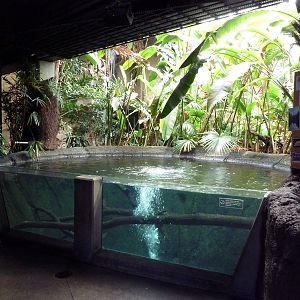 Discovery Center - Amazon Tank