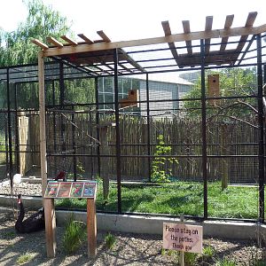 Australia Adventure - Bird Aviary