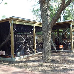 Australia Adventure - Lorikeet Feeding Aviary