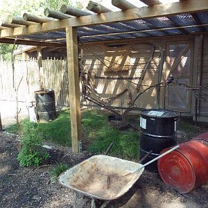 Australia Adventure - Kookaburra Outdoor Exhibit