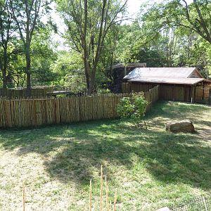 Australia Adventure - Emu Exhibit