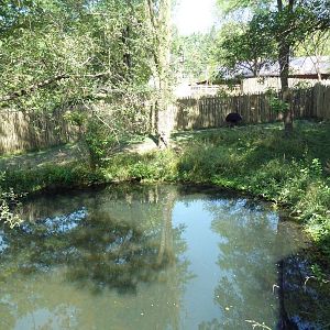 Australia Adventure - Cassowary Exhibit