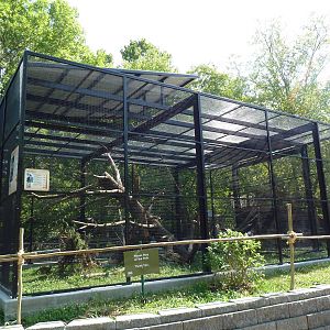 Squirrel Monkey/King Vulture Exhibit