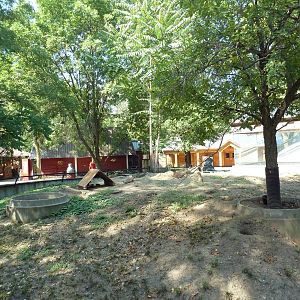 Black-Tailed Prairie Dog Exhibit