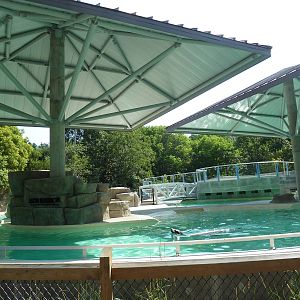 Seal/Sea Lion Exhibit