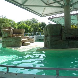 Seal/Sea Lion Exhibit