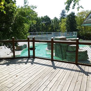 Seal/Sea Lion Exhibit
