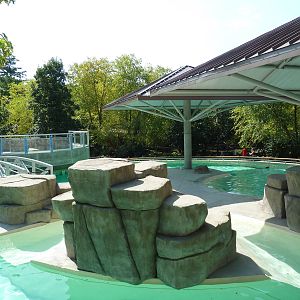 Seal/Sea Lion Exhibit