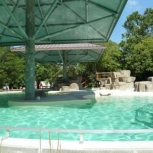 Seal/Sea Lion Exhibit