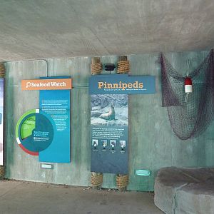 Seal/Sea Lion Exhibit - New Signage