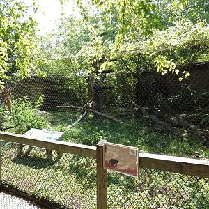 Snow Leopard Exhibit