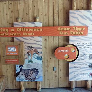 Amur Tiger Exhibit - Signage