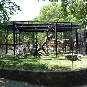 Squirrel Monkey/King Vulture Exhibit