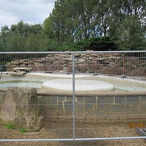 Current state of work on penguin pool