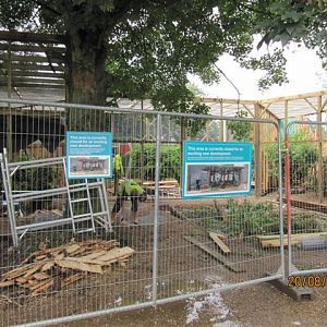 Progress on new owl aviaries