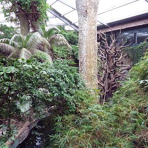 Lied Jungle - America's #1 Rainforest Complex!