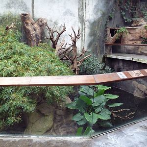 Lied Jungle - White-Handed Gibbon/Small-Clawed Otter Exhibit