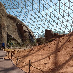 Desert Dome