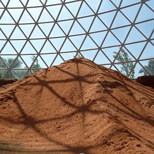 Desert Dome