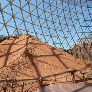 Desert Dome