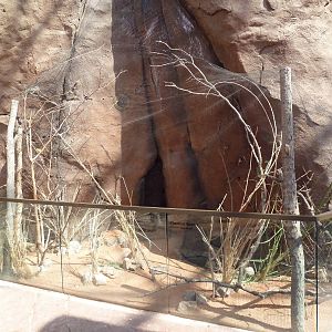 Desert Dome - Chestnut Weaver Exhibit