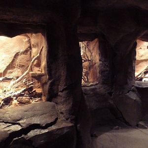 Desert Dome - Reptile Terrariums