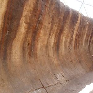 Desert Dome - Wave Rock