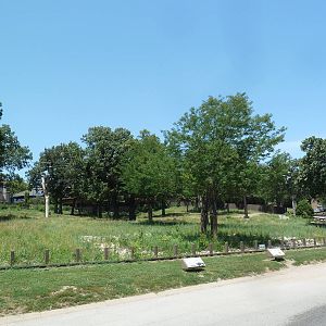 Reticulated Giraffe/Ostrich/Black-Footed Penguin Exhibit