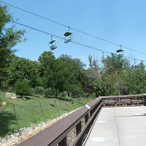 Cheetah Exhibit + Skyfari Ride