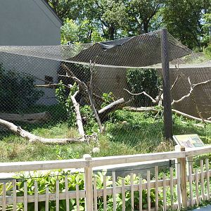 Expedition Madagascar - Fossa Exhibit