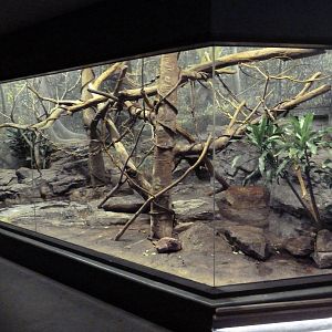 Expedition Madagascar - Red Ruffed Lemur/Common Brown Lemur Exhibit