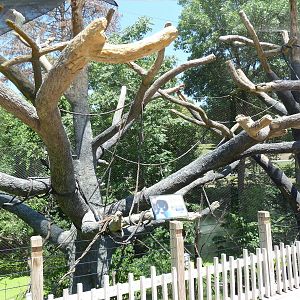 Expedition Madagascar - Walk-Through Lemur Exhibit