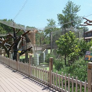 Expedition Madagascar - Walk-Through Lemur Exhibit