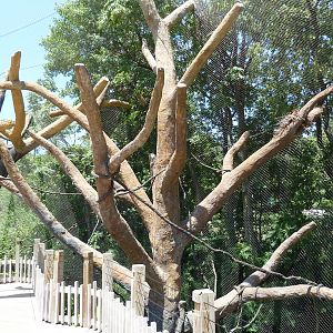 Expedition Madagascar - Walk-Through Lemur Exhibit